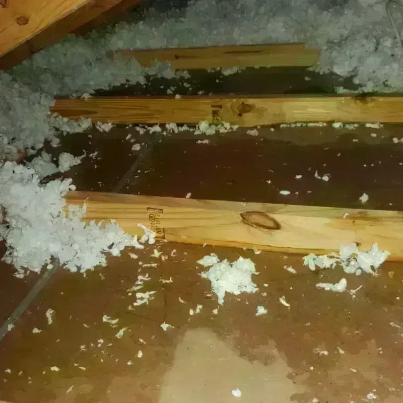 Attic Water Damage in Columbia County, NY